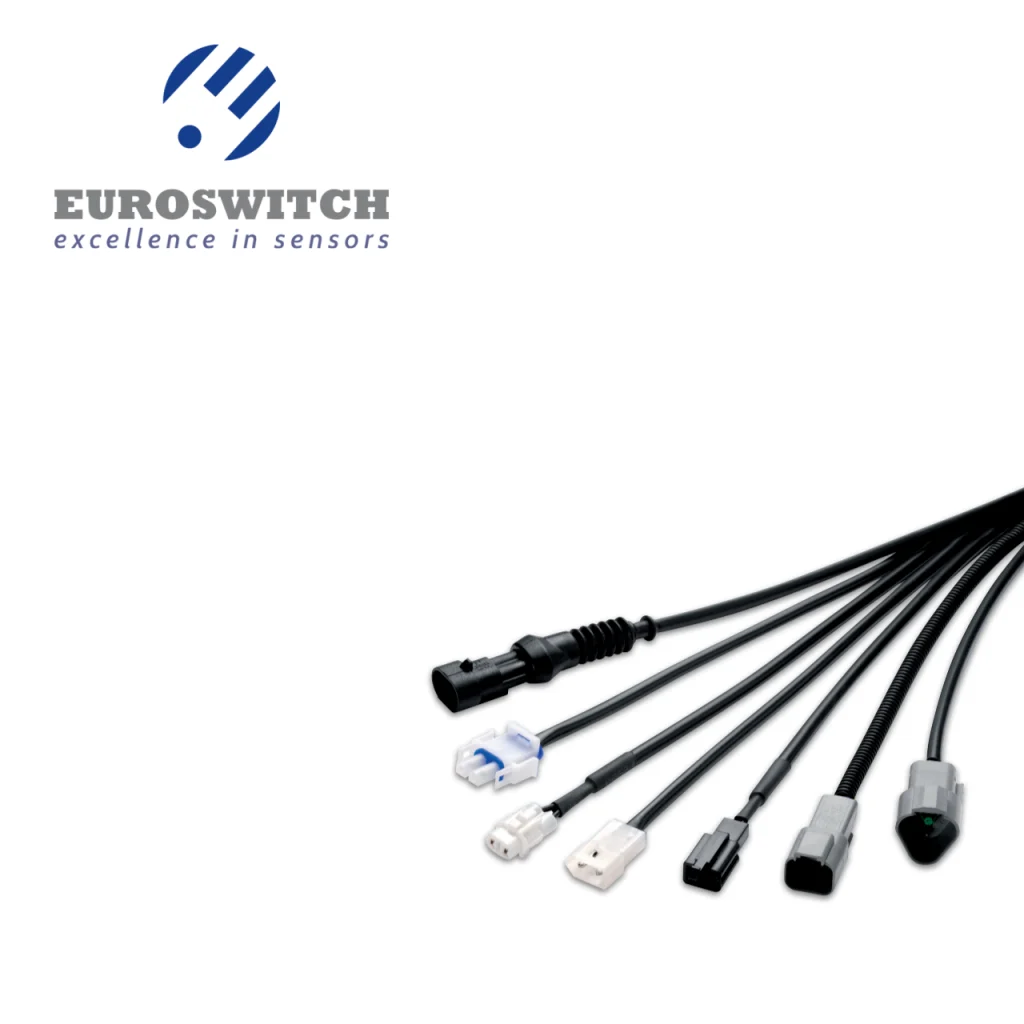Euroswitch product image